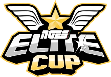 Изображение NGES Elite Cup 2021