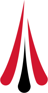 Изображение MESA Pro Series #1