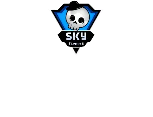 Изображение Skyesports Skirmish Series 2025