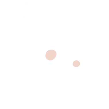 Изображение Panda Series 2025