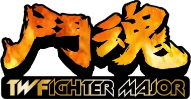 Изображение TWFighter Major 2017