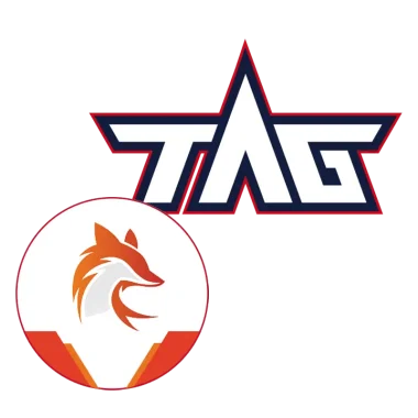 Изображение Fox vs Taiwan Aoe Gamer 2