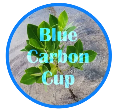 Изображение Blue Carbon Cup 2