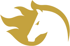 Изображение FiReLEAGUE Global Final 2023