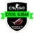 Изображение 1. COOL League Season 2