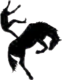 Изображение Phoenix Reborn 2