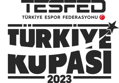 Изображение TESFED Türkiye Kupası 2023