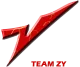 Логотип Team ZY