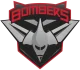 Логотип Bombers