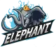 Логотип Elephant