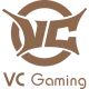 Логотип VC Gaming