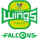 Логотип Jin Air Green Wings Falcons