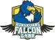 Логотип HungKuang Falcon
