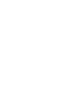 Логотип LEDIAN