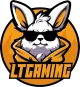 Логотип LT Gaming