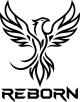 Логотип REBORN