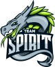 Логотип Team Spirit