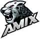 Логотип AMIX Team