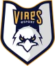 Логотип Vires eSport