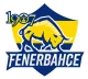 Логотип 1907 Fenerbahçe Esports
