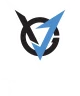 Логотип VGJ.Storm