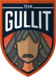 Логотип Team Gullit