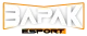 Логотип Bapak Esports