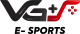 Логотип Virtual Gaming Squad