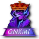 Логотип GNXMI