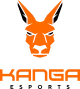 Логотип Kanga Esports