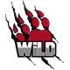 Логотип WiLD MultiGaming