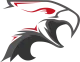 Логотип Dark Sided