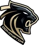 Логотип Dominator Esports
