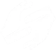 Логотип Scald eSports
