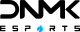 Логотип DNMK Esports