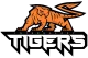 Логотип Intergalaxy Tigers Gaming