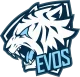 Логотип EVOS Esports