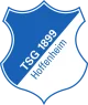 Логотип TSG Hoffenheim