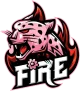 Логотип Fire E-Sports