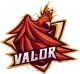 Логотип Team Valor