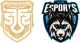 Логотип FUSION VIP