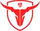 Логотип MadBulls