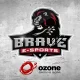 Логотип Brave e-Sports