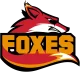 Логотип Foxes