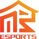 Логотип NB Esports
