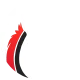 Логотип Team Ferox