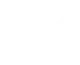 Логотип Team Vision