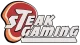 Логотип Steak Gaming
