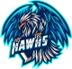 Логотип Hawks eSports