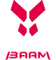 Логотип Team Big BAAM